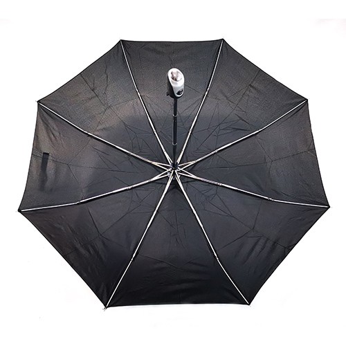 Auto fold umbrella