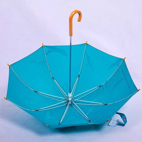 Children safety umbrella