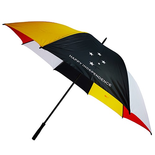 China promotion umbrella