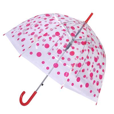 Clear dome umbrella