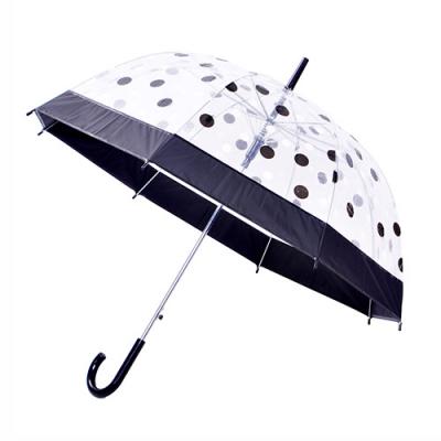 Clear plastic umbrella Clear plastic umbrella
