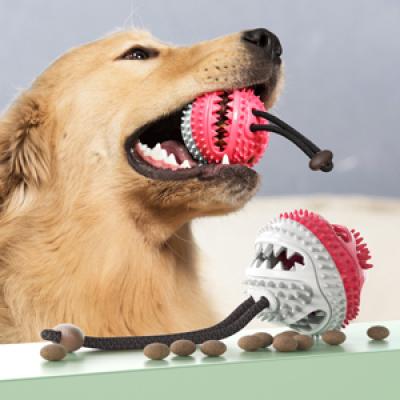 Pet Chew Toys