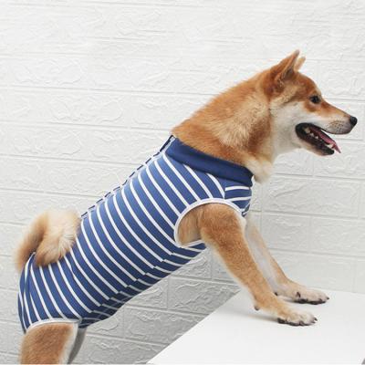Pet recovery suit Pet recovery suit