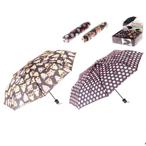 fold-up umbrella in display 